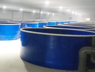 Bể sử dụng vật liệu composite làm bể nuôi tôm đem lại hiệu quả cao
