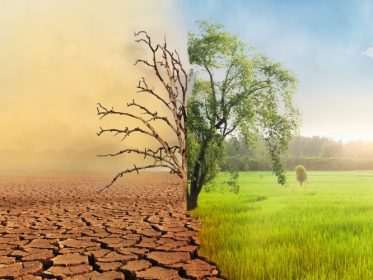 Sự biến đổi dài hạn về nhiệt độ và các hình thái thời tiết gây thay đổi khí hậu toàn cầu