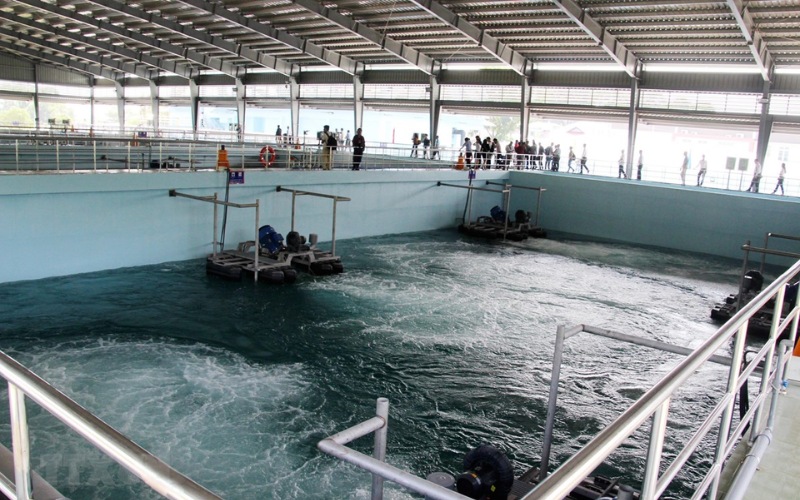 Một số công nghệ xử lý nước thải chế biến thủy sản